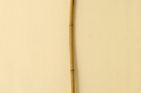 Cask "Débondoir"
